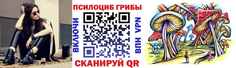 mega как зайти  Киреевск  Галлюциногенные грибы ЛСД 